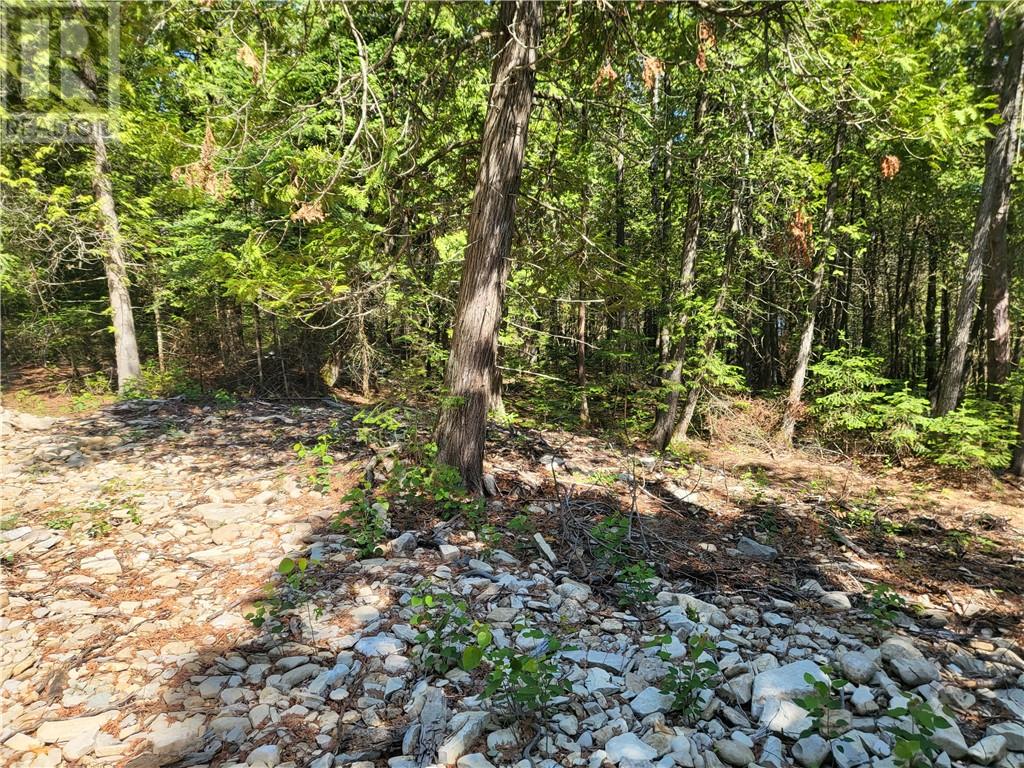 Lot 1 31m-209 Water Street, Meldrum Bay, Ontario  P0P 1R0 - Photo 18 - 2117093