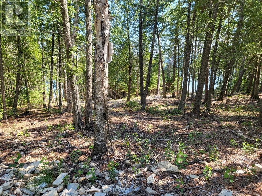 Lot 1 31m-209 Water Street, Meldrum Bay, Ontario  P0P 1R0 - Photo 19 - 2117093