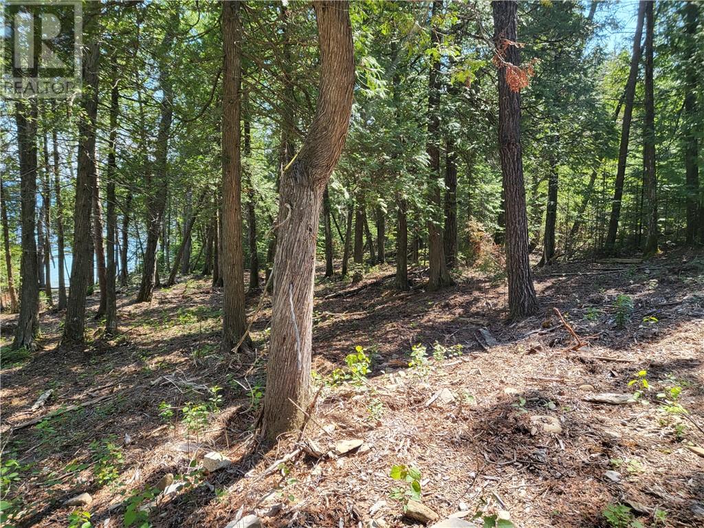 Lot 1 31m-209 Water Street, Meldrum Bay, Ontario  P0P 1R0 - Photo 20 - 2117093