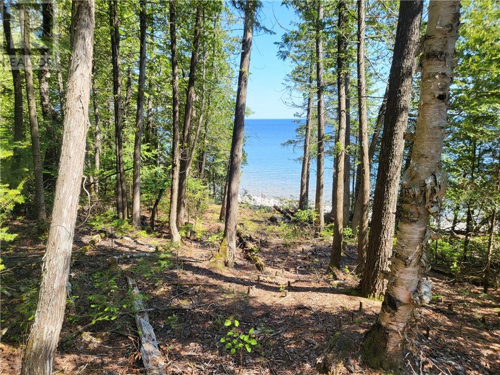 Lot 1 31m-209 Water Street, Meldrum Bay, Ontario  P0P 1R0 - Photo 25 - 2117093