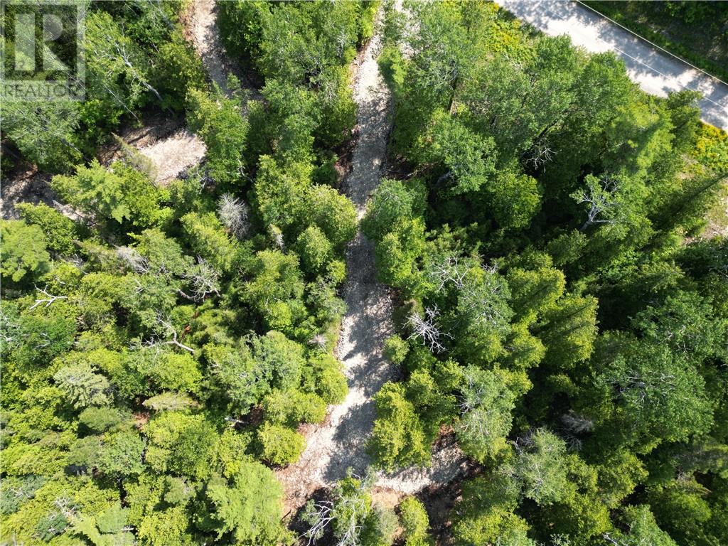 Lot 2 31m-209 Water Street, Meldrum Bay, Ontario  P0P 1R0 - Photo 8 - 2117208