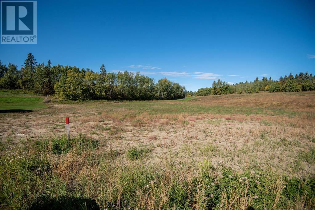 152, 27111 597 Highway, Rural Lacombe County, Alberta  T0M 0J0 - Photo 8 - A2138390