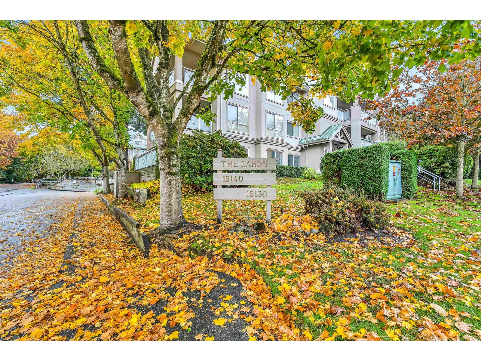 101 15140 29a Avenue, Surrey, British Columbia  V4P 3B1 - Photo 36 - R2939109