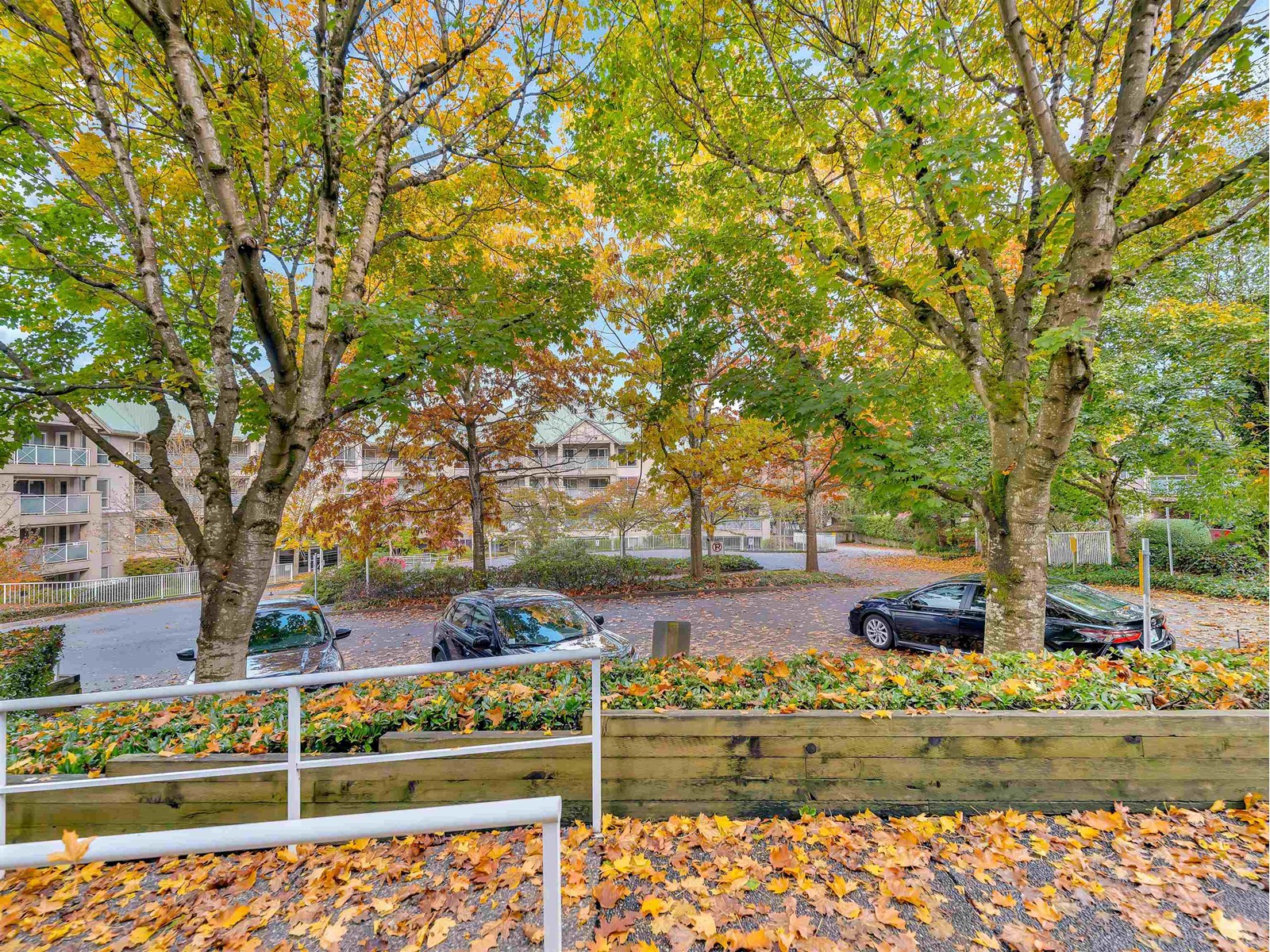 101 15140 29a Avenue, Surrey, British Columbia  V4P 3B1 - Photo 35 - R2939109