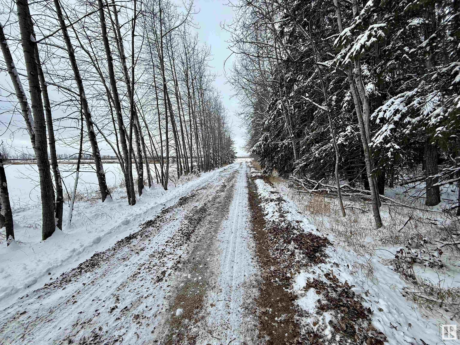 62507 Rr 490, Rural Bonnyville M.d., Alberta  T0A 1P0 - Photo 32 - E4415175