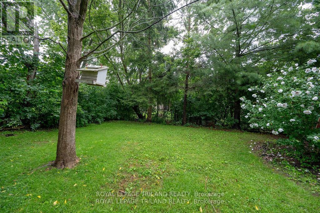 151 Paperbirch Crescent, London, Ontario  N6G 1L8 - Photo 28 - X11831983