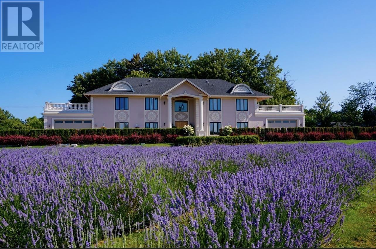 Listing Picture 10 of 12 : 6520 WILLIAMS ROAD, Richmond / 烈治文 - 魯藝地產 Yvonne Lu Group - MLS Medallion Club Member