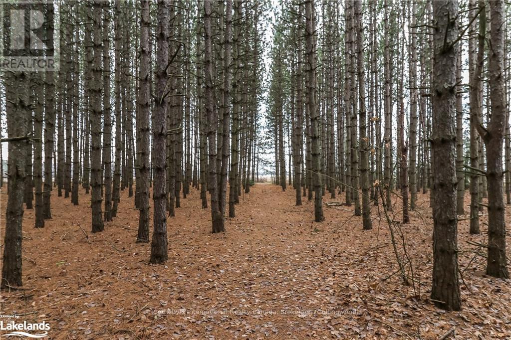 449 Mertz Corner Rd, Tiny, Ontario  L0L 2T0 - Photo 8 - S10434182