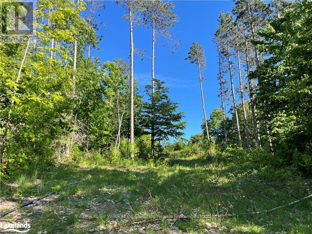 Lot 12 14 Concession Road E, Tiny, Ontario  L9M 2H7 - Photo 16 - S10434299