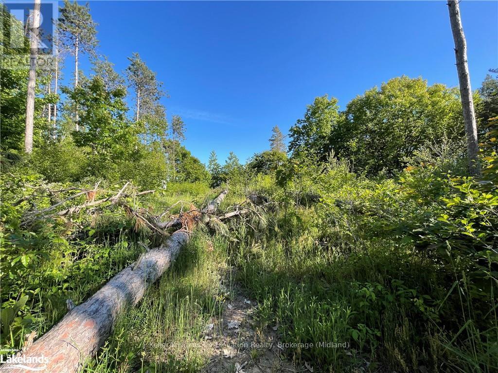Lot 12 14 Concession Road E, Tiny, Ontario  L9M 2H7 - Photo 19 - S10434299