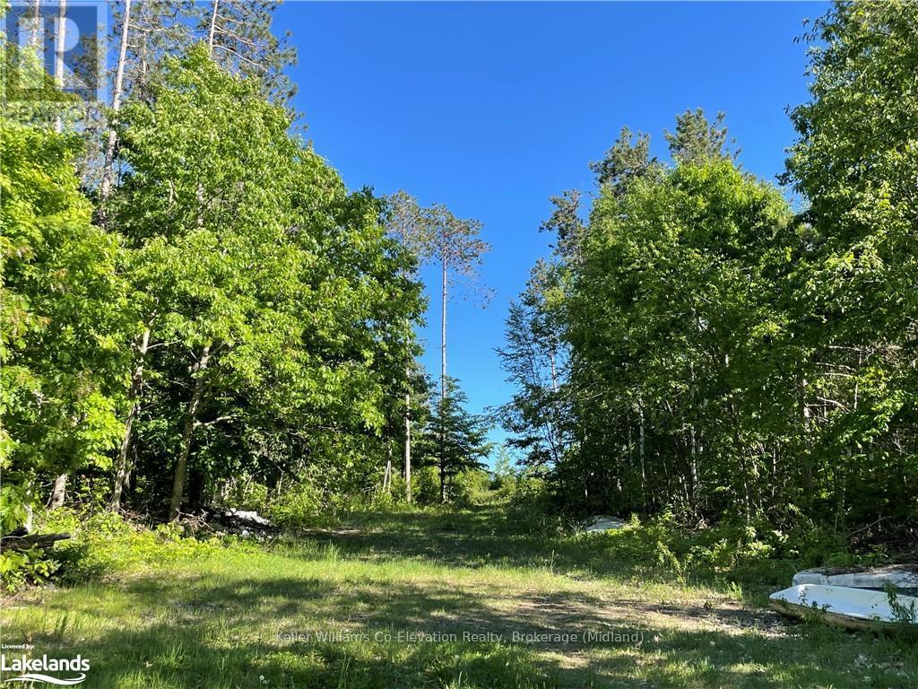 Lot 12 14 Concession Road E, Tiny, Ontario  L9M 2H7 - Photo 21 - S10434299