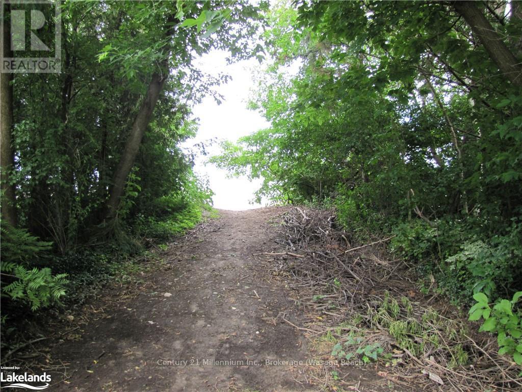 9592 Beachwood Road, Collingwood, Ontario  L9Y 3Z1 - Photo 10 - S10435276