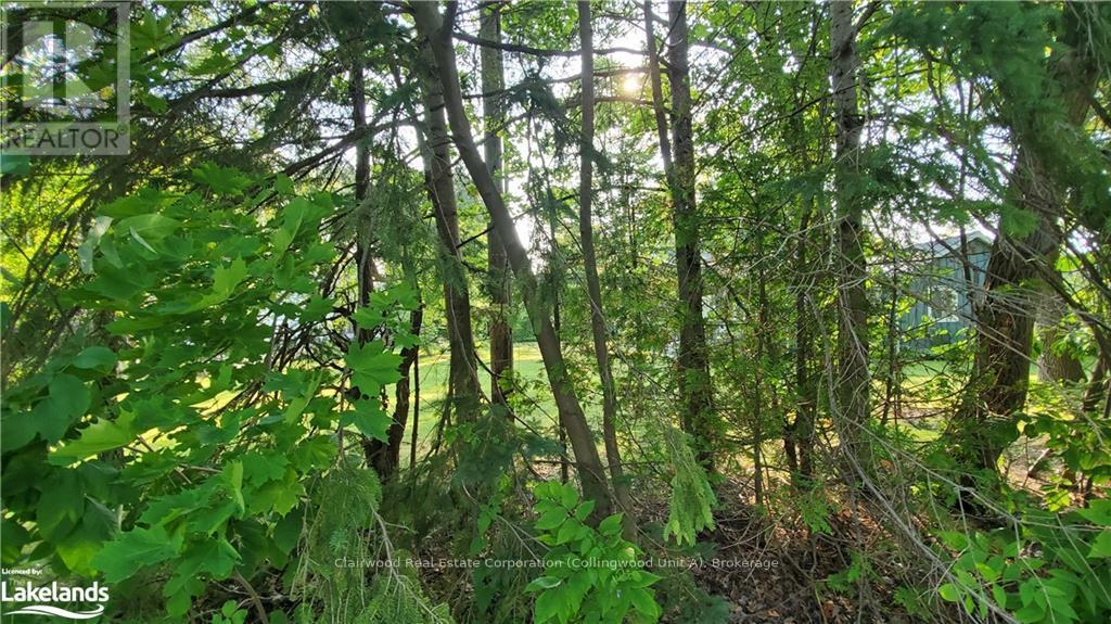 Lot 59 47th Street S, Wasaga Beach, Ontario  L9Z 1Y6 - Photo 6 - S10437574