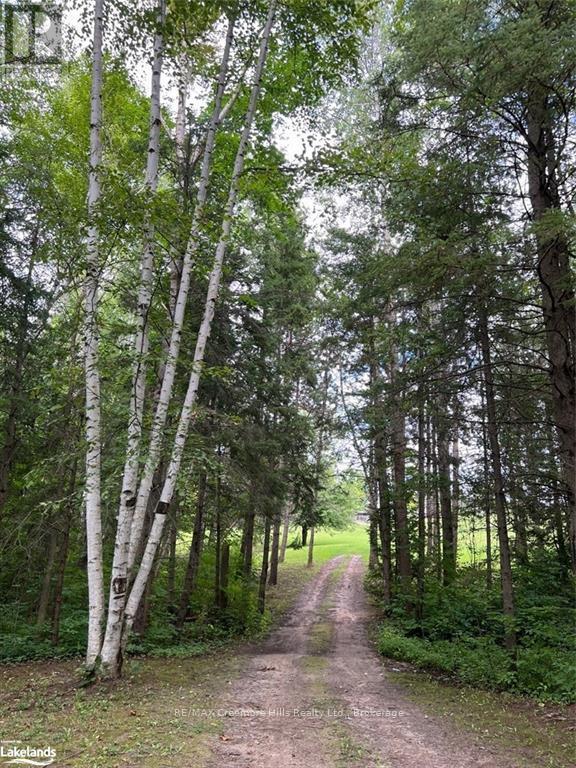 2332 Centre Line, Clearview, Ontario  L0M 1S0 - Photo 16 - S10437777