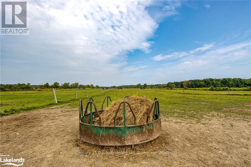 526 Concession 17 W, Tiny, Ontario  L9M 0K1 - Photo 28 - S10438234