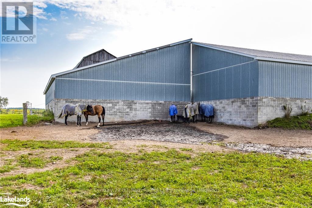 526 Concession 17 W, Tiny, Ontario  L9M 0K1 - Photo 6 - S10438234