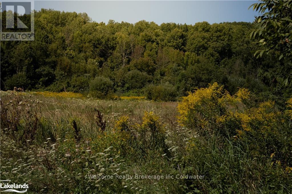 3410 Reservoir Road, Severn, Ontario  L0K 1E0 - Photo 14 - S10438797