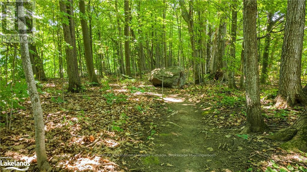 8870 County 93 Road, Midland, Ontario  L4R 4K4 - Photo 34 - S10439540