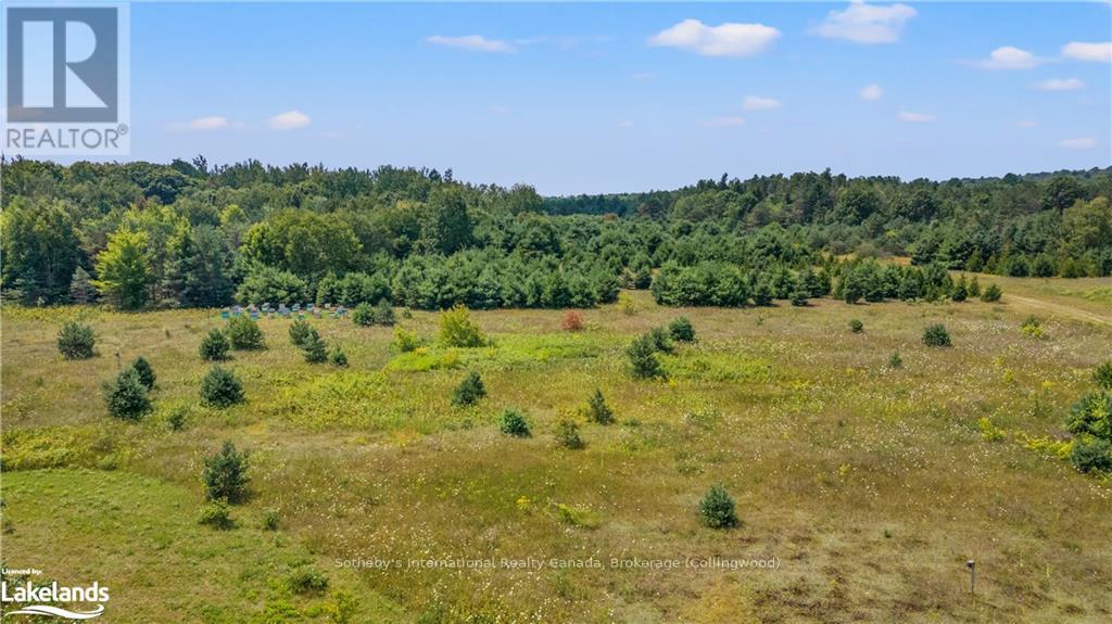 8870 County 93 Road, Midland, Ontario  L4R 4K4 - Photo 35 - S10439540