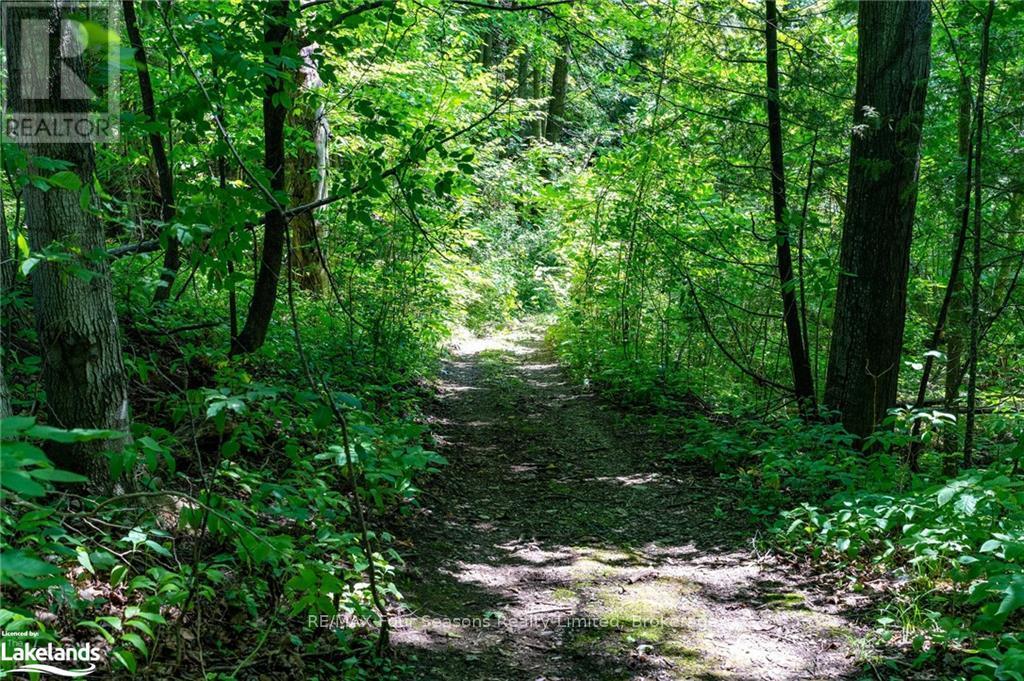 988 Sixth Street, Clearview, Ontario  L9Y 3Y9 - Photo 13 - S10440022