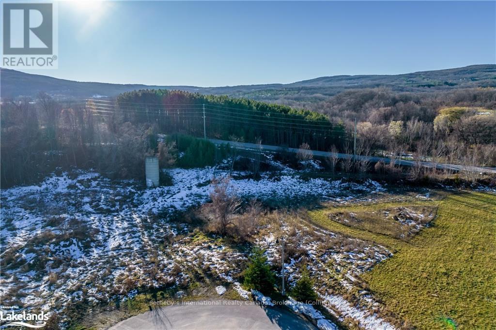 21 Raintree Court, Clearview, Ontario  L9Y 0K2 - Photo 3 - S10895003