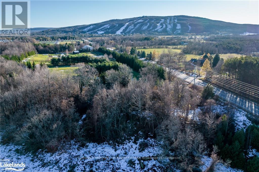 21 Raintree Court, Clearview, Ontario  L9Y 0K2 - Photo 8 - S10895003