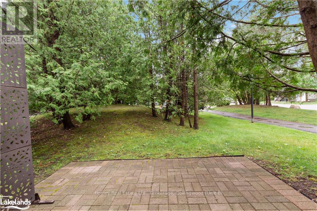 34 - 17 Dawson Drive, Collingwood, Ontario  L9Y 5B4 - Photo 27 - S10895108