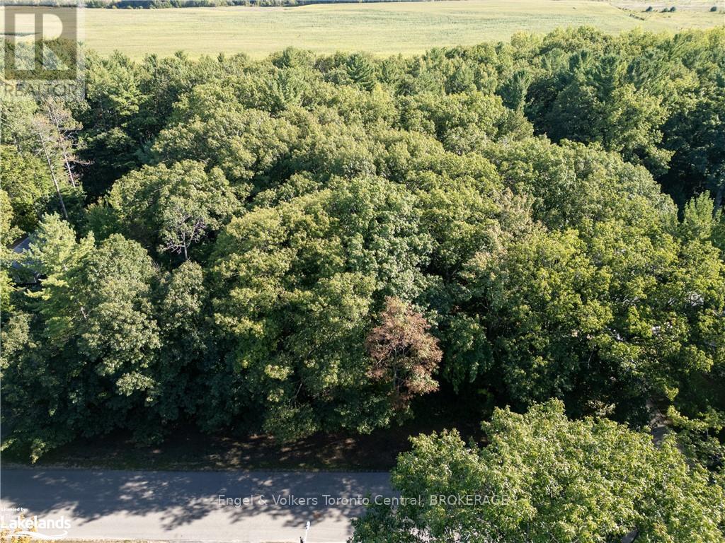 173 Wildwood Drive, Clearview, Ontario  L9Z 1R3 - Photo 11 - S10895207