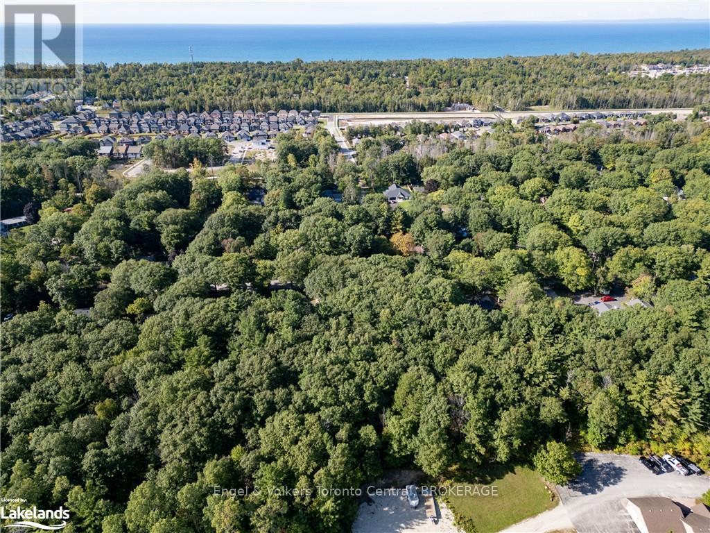 173 Wildwood Drive, Clearview, Ontario  L9Z 1R3 - Photo 7 - S10895207