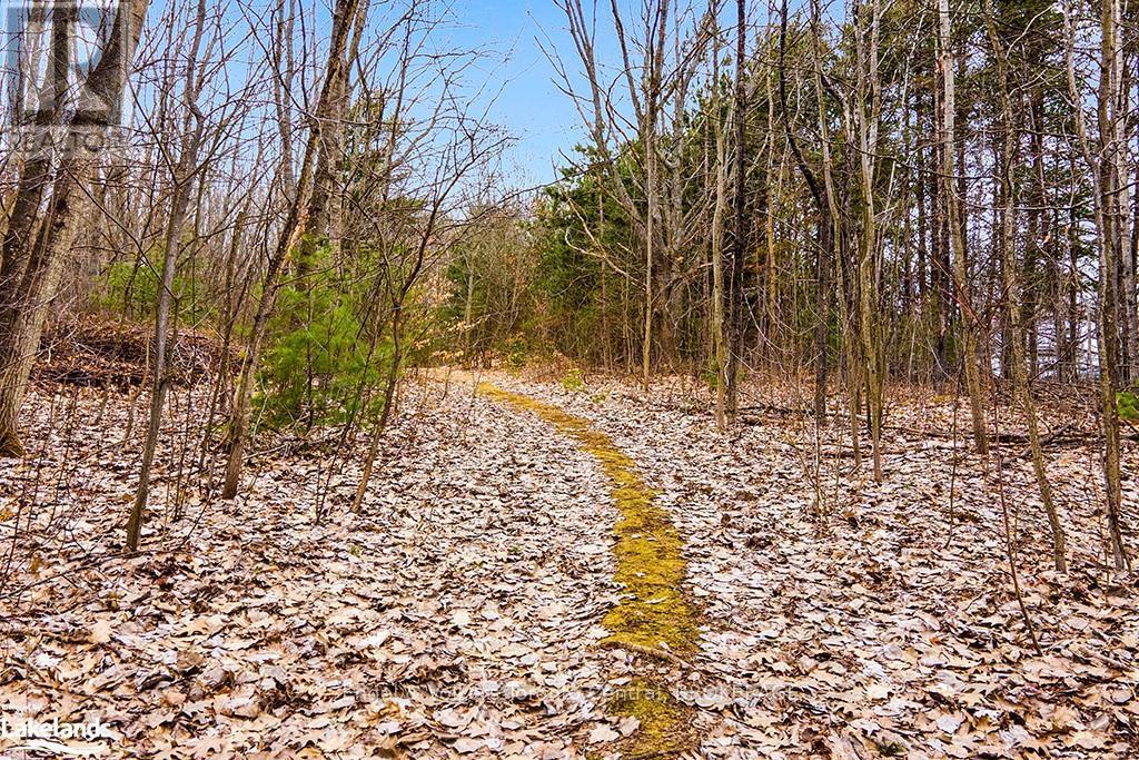 1056 Fuller Avenue, Penetanguishene, Ontario  L9M 1G7 - Photo 11 - S10895474