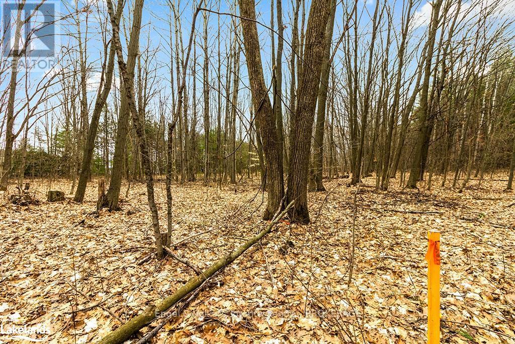 1056 Fuller Avenue, Penetanguishene, Ontario  L9M 1G7 - Photo 8 - S10895474