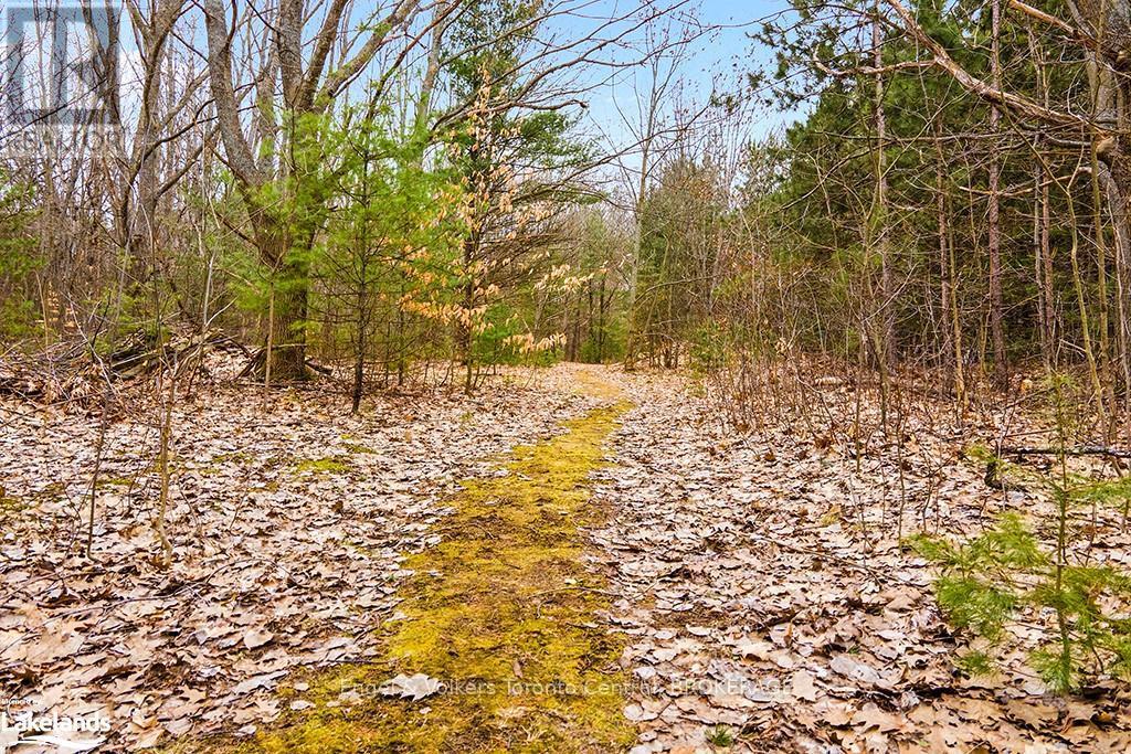 1056 Fuller Avenue, Penetanguishene, Ontario  L9M 1G7 - Photo 9 - S10895474