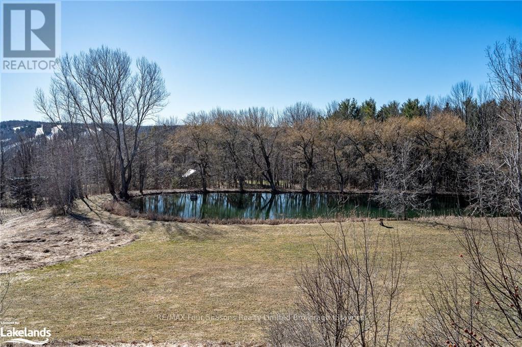 1651 County Road 124, Clearview, Ontario  L0M 1H0 - Photo 33 - S10437669