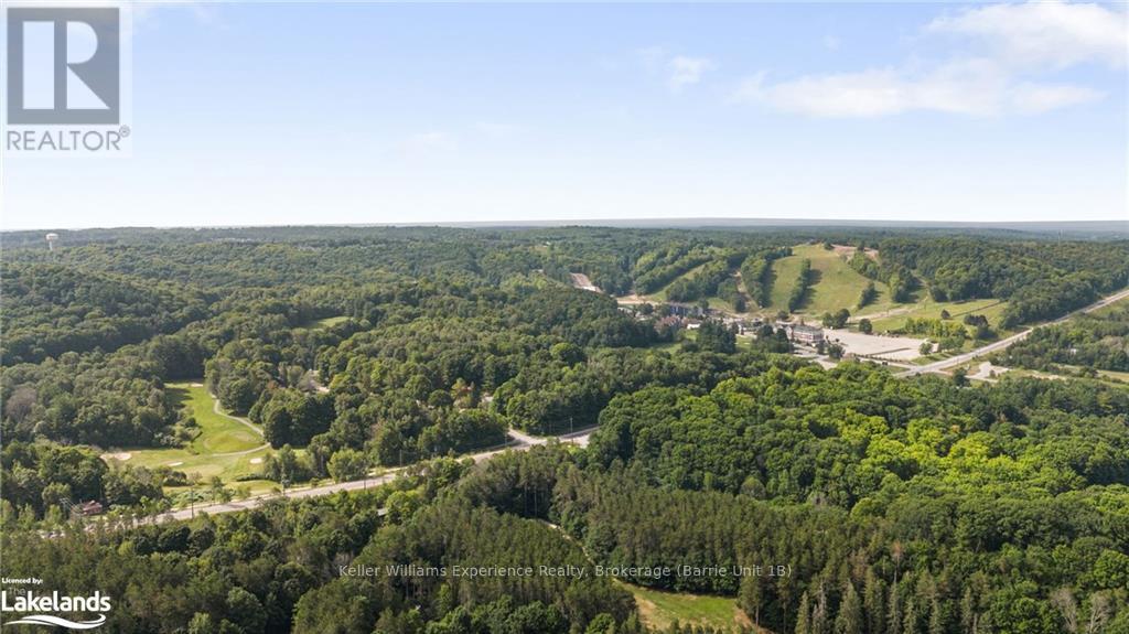 32 Pine Ridge Trail, Oro-Medonte (Horseshoe Valley), Ontario  L4M 4Y8 - Photo 34 - S10439586