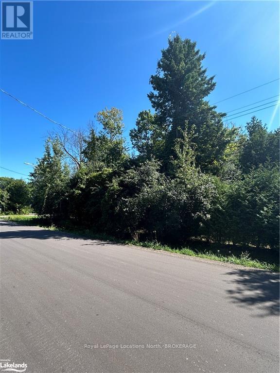 38 Broadview Street, Collingwood, Ontario  L9Y 0X2 - Photo 1 - S10894725