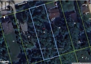 38 Broadview Street, Collingwood, Ontario  L9Y 0X2 - Photo 4 - S10894725