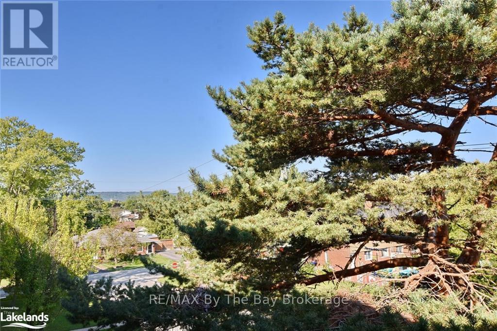 409 - 184 Eighth Street, Collingwood, Ontario  L9Y 2C8 - Photo 3 - S10436605