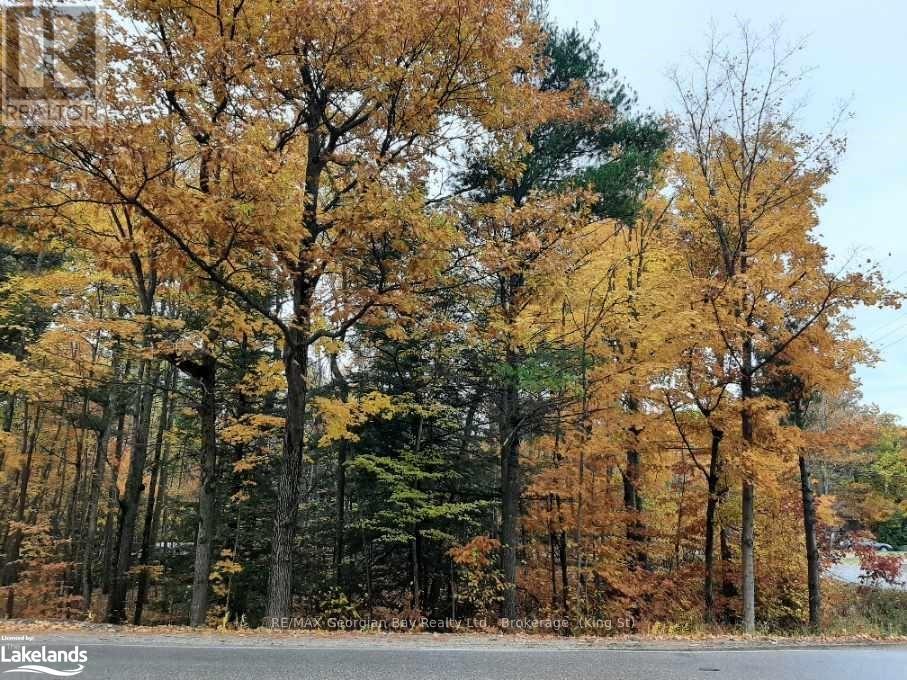 Lot 354 Desroches Trail, Tiny, Ontario  L9M 0H9 - Photo 2 - S10901717