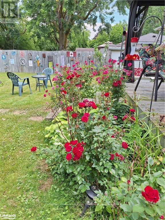 202 Point Street N, Clearview, Ontario  L0M 1S0 - Photo 26 - S10439553