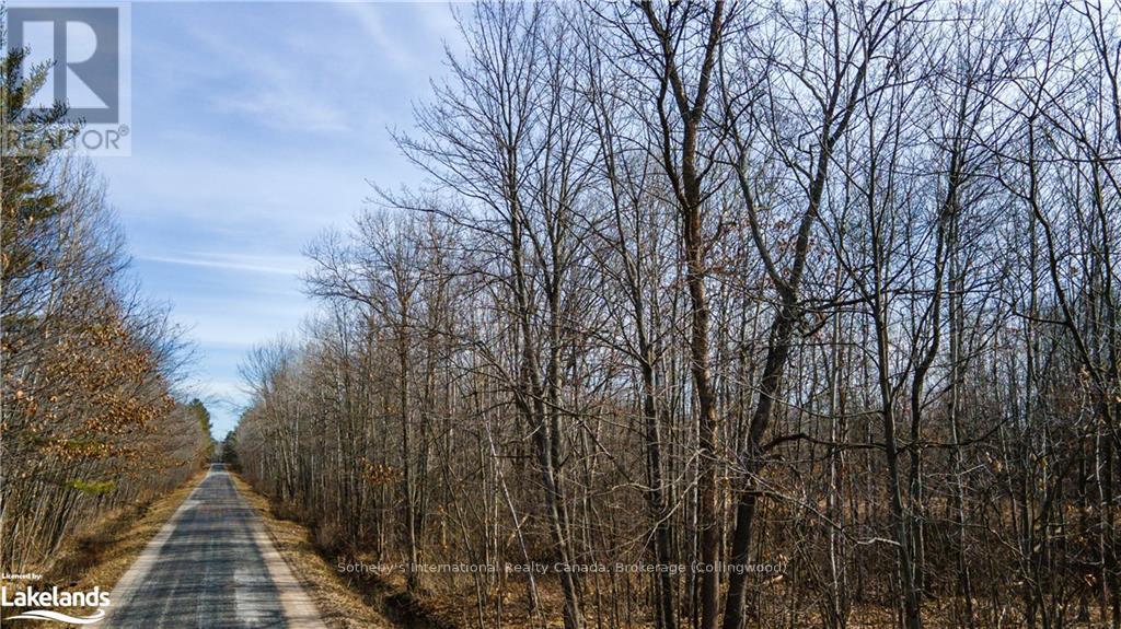 3105 Narrows Road, Severn, Ontario  L0K 1S0 - Photo 2 - S10905515