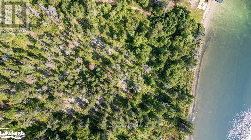 Lot 4 - 0 Munro Lake Road, Black River Matheson, Ontario  A0A 0A0 - Photo 19 - T10435090