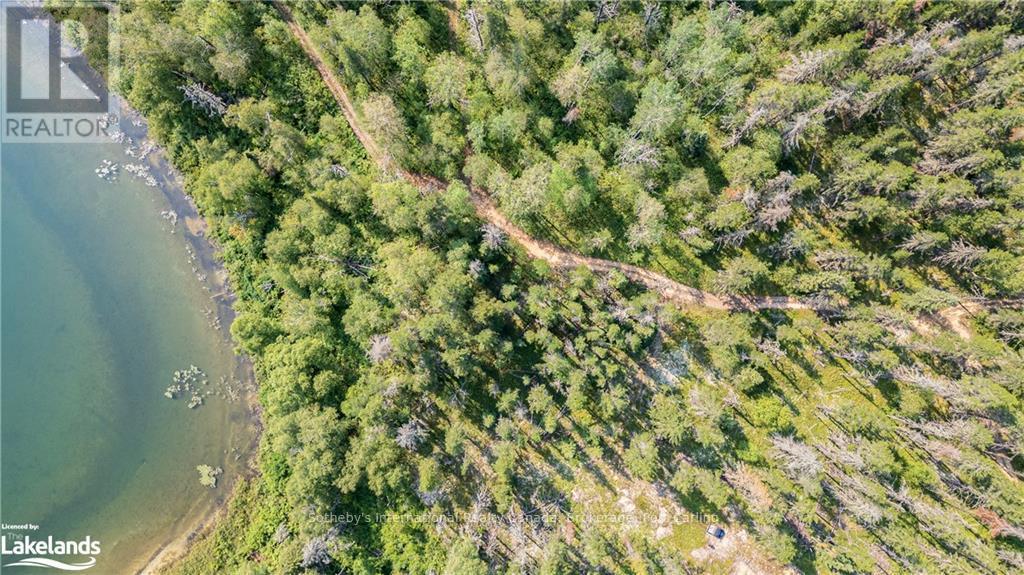 Lot 4 - 0 Munro Lake Road, Black River Matheson, Ontario  A0A 0A0 - Photo 3 - T10435090