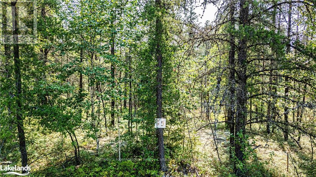 Lot 5 - 0 Munro Lake Road, Black River Matheson, Ontario  A0A 0A0 - Photo 11 - T10435197