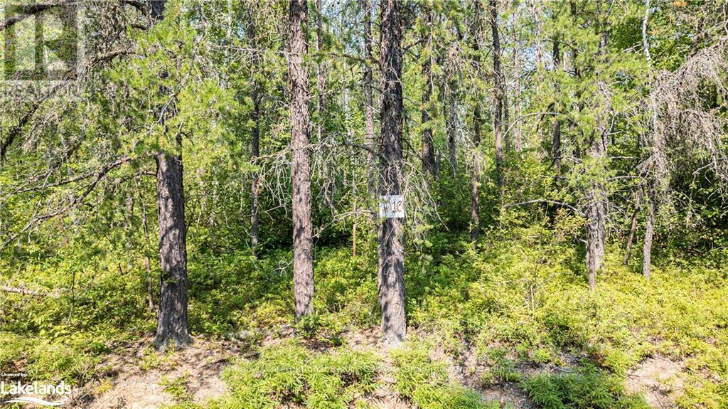Lot 5 - 0 Munro Lake Road, Black River Matheson, Ontario  A0A 0A0 - Photo 25 - T10435197