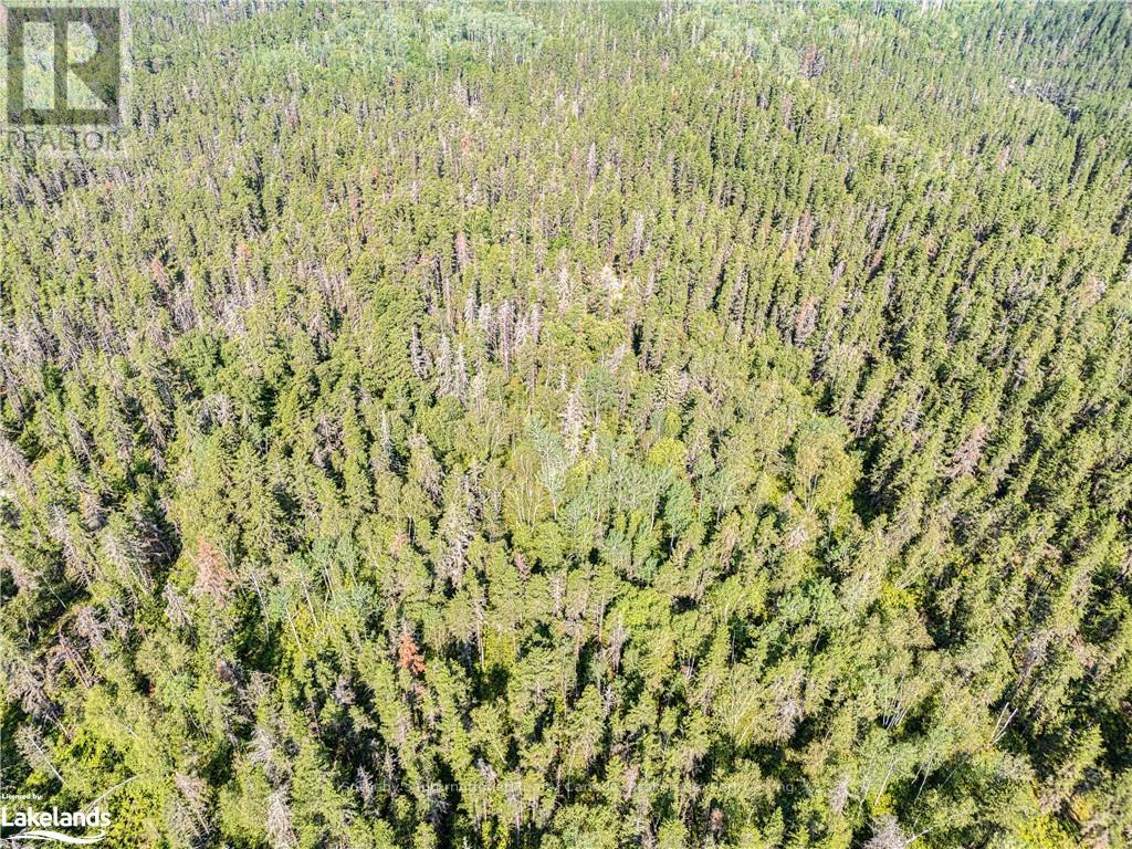 Lot 5 - 0 Munro Lake Road, Black River Matheson, Ontario  A0A 0A0 - Photo 8 - T10435197