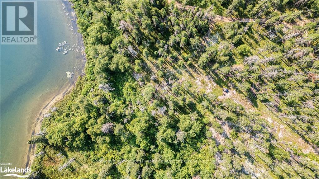 Lot 6 - 0 Munro Lake Road, Black River Matheson, Ontario  A0A 0A0 - Photo 2 - T10435298