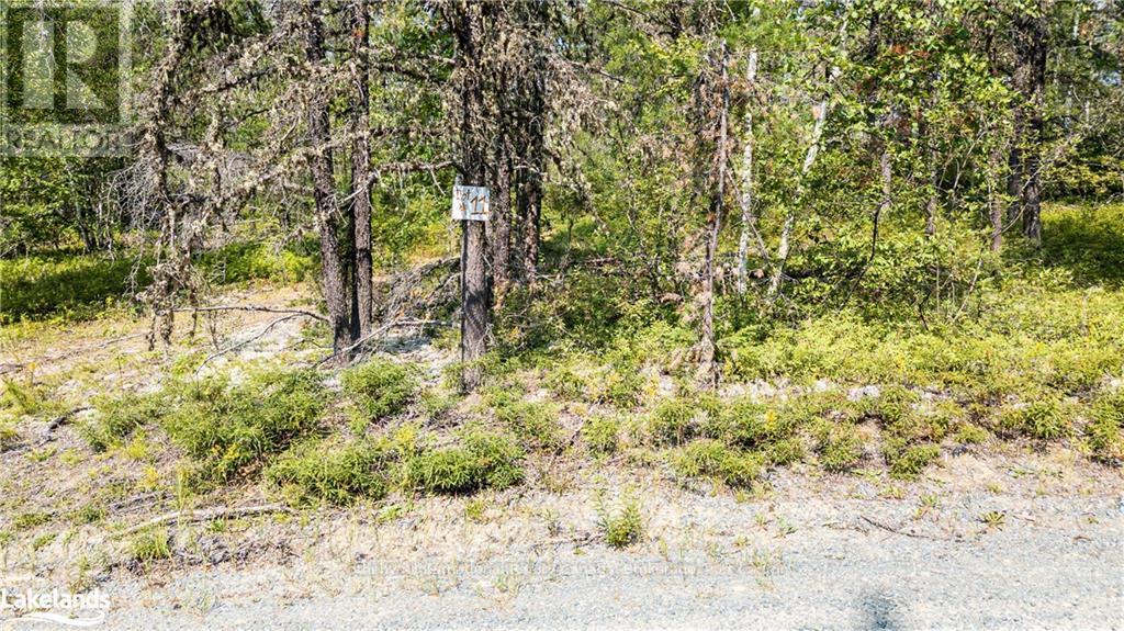 Lot 6 - 0 Munro Lake Road, Black River Matheson, Ontario  A0A 0A0 - Photo 24 - T10435298
