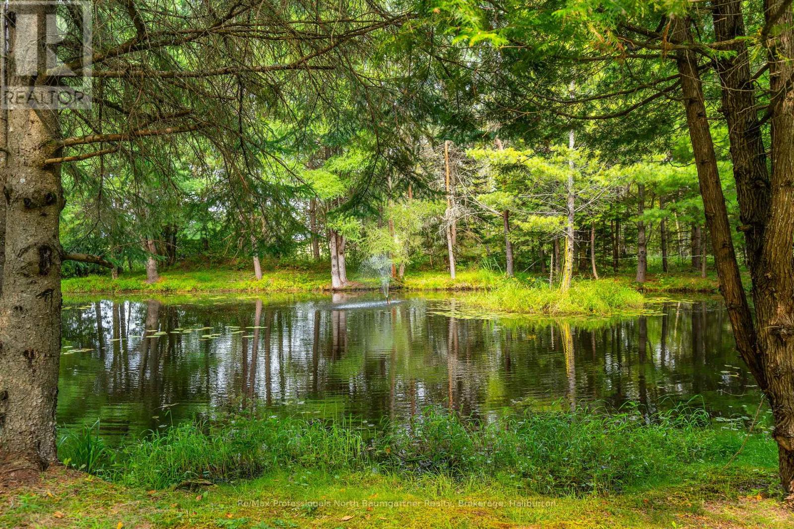 1625 Hunter Creek Road, Minden Hills, Ontario  K0M 2K0 - Photo 22 - X10434162