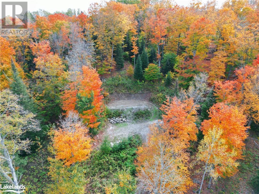 1019 Bushwolf Lake Road, Dysart Et Al, Ontario  K0M 1S0 - Photo 13 - X10434332