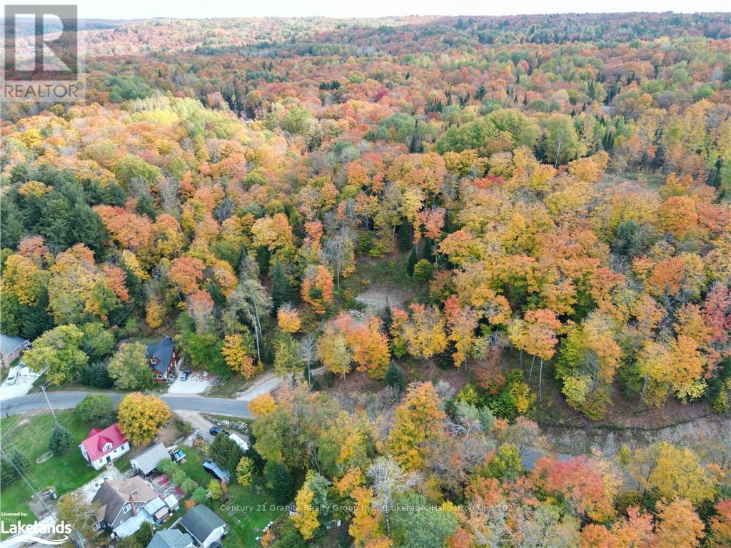 1019 Bushwolf Lake Road, Dysart Et Al, Ontario  K0M 1S0 - Photo 29 - X10434332